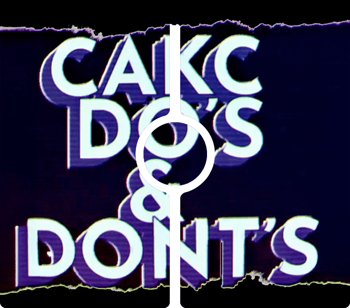 Do's and Don't's on the track